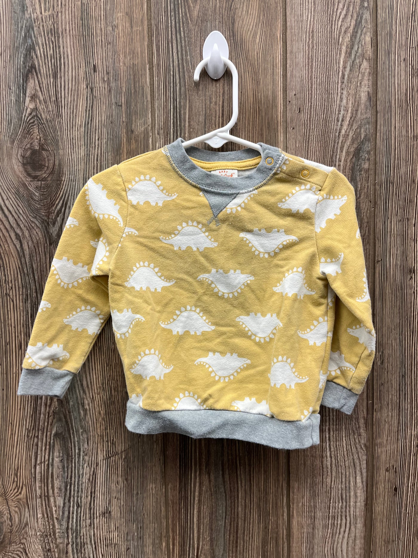 Boys 18 mo Dinosaur Sweatshirt