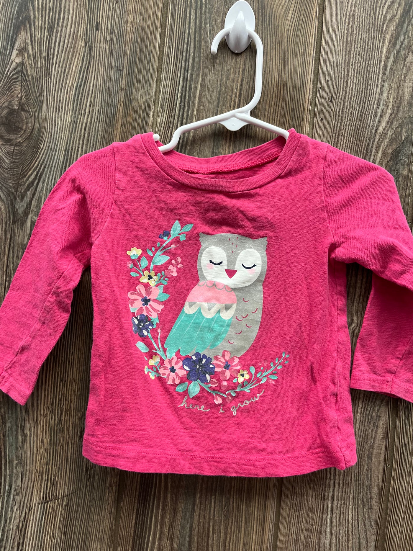 Girl 18 mo Owl Long Sleeve Shirt with Flowers