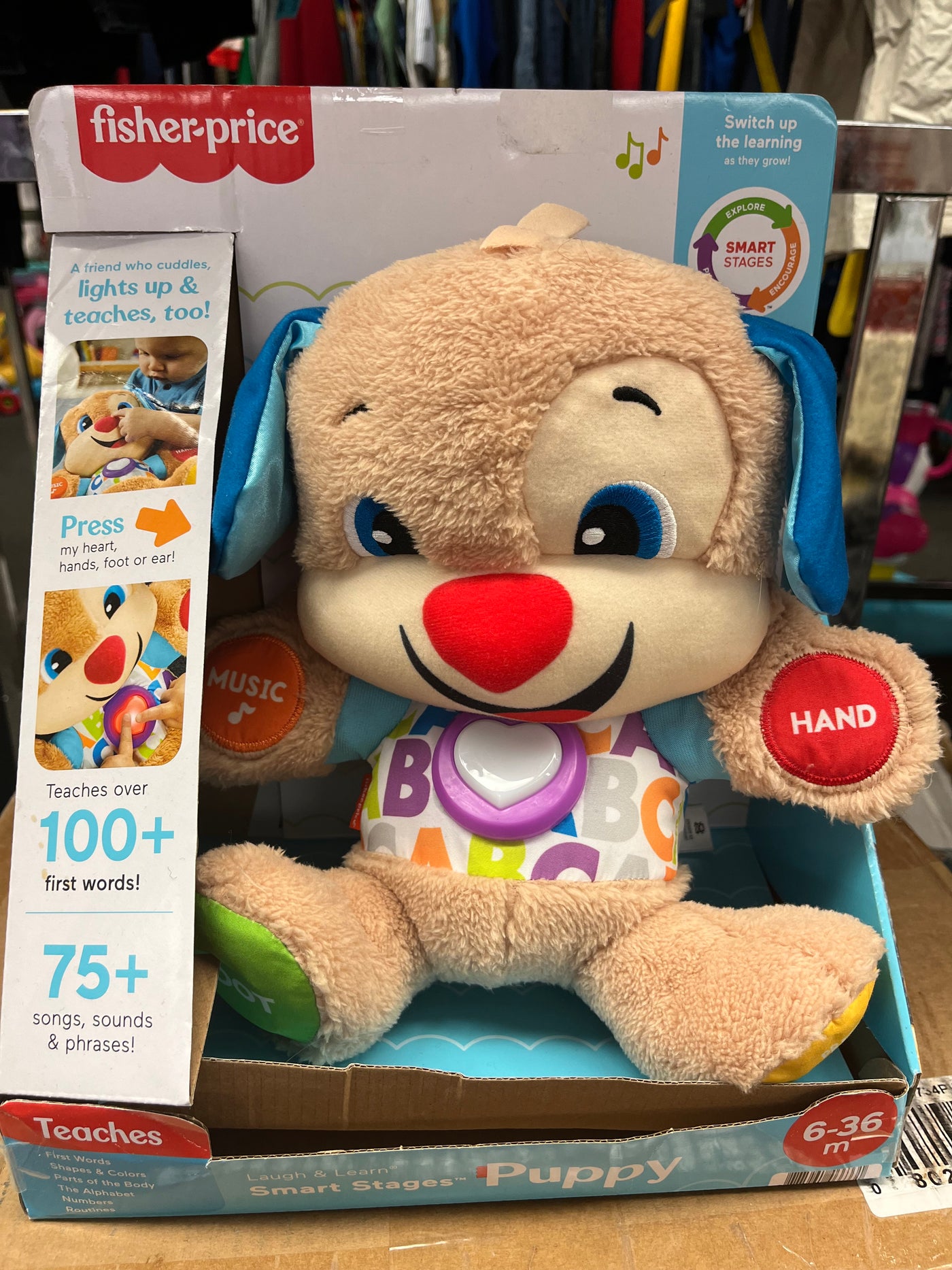 NEW Fisher Price Bear Toy