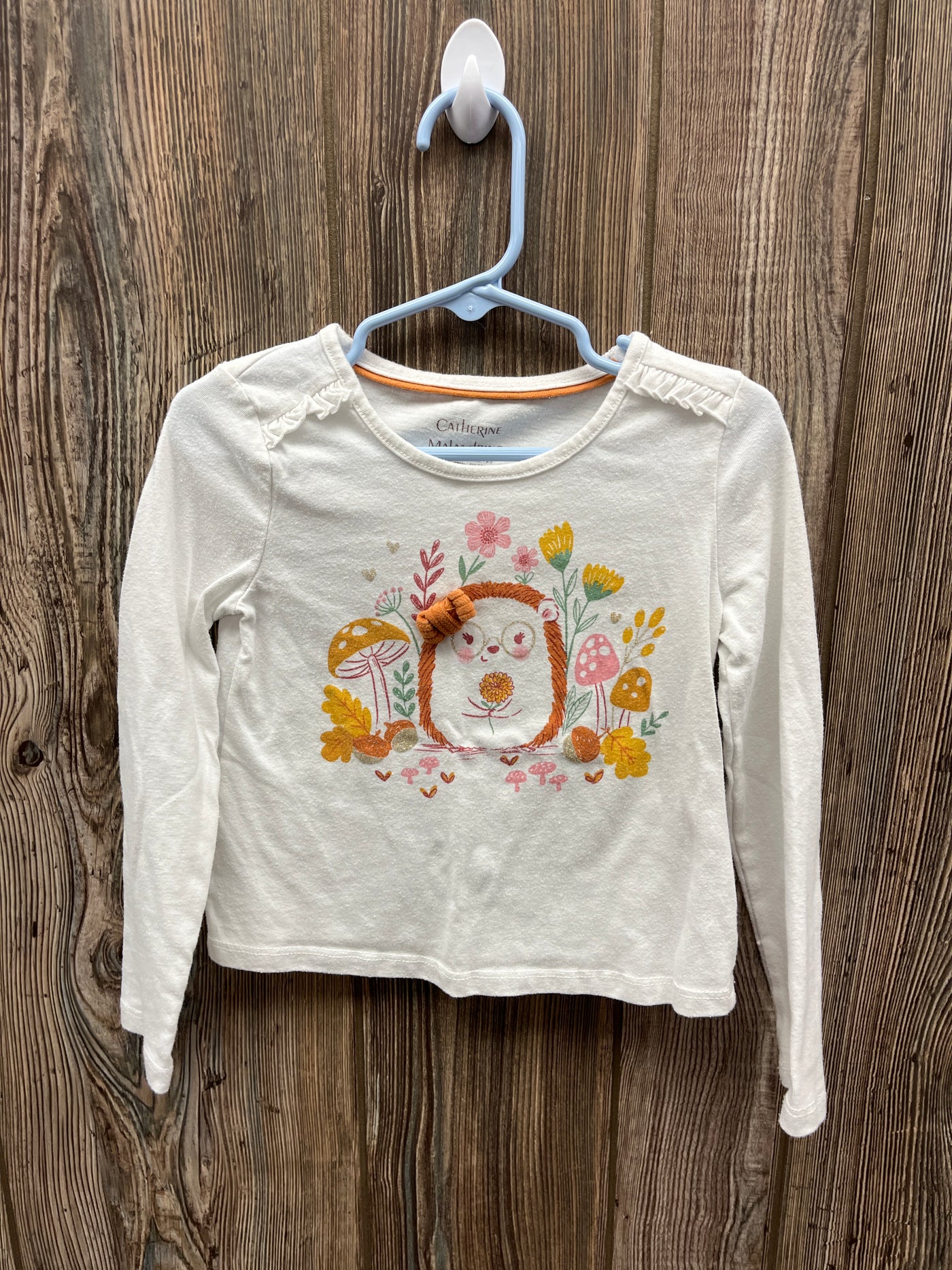 Girl 4T Hedgehog Flowers and Mushrooms Shirt