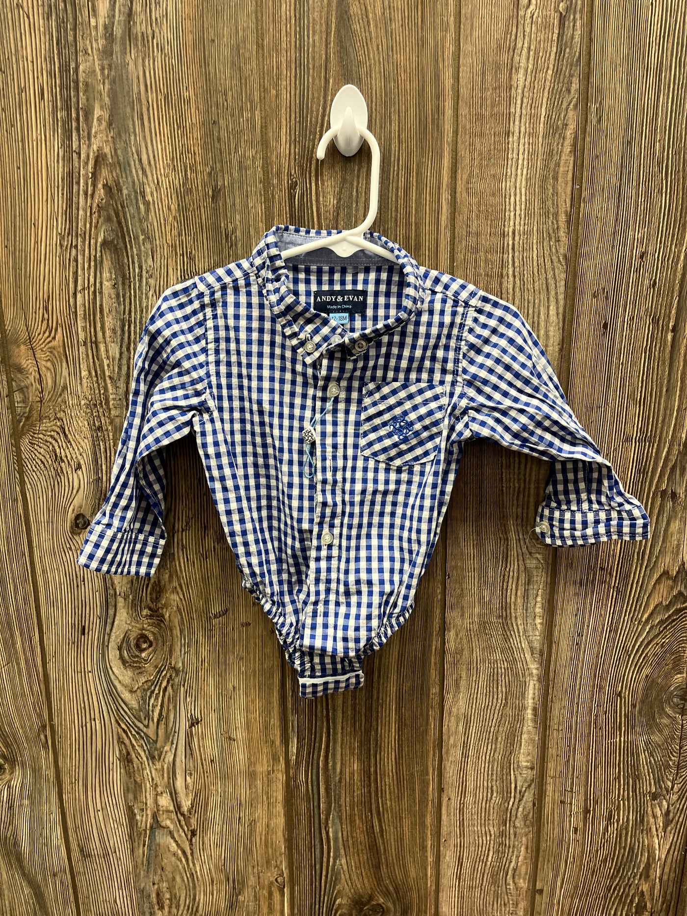 Boys 12-18 mo Blue and White Checkered Long Sleeve Onesie